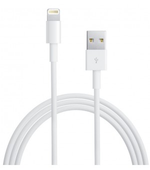 Apple Lightning Kabel 1m MD818ZM/A Bulk
