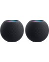 Apple HomePod Mini Grijs Duo Set