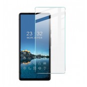 Privacy Screen Protector Pixel 6