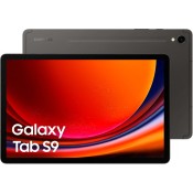 Samsung Galaxy Tab S9 5G SM-X716 128GB Grijs